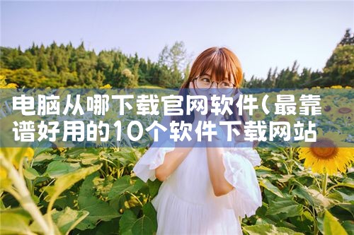 电脑从哪下载官网软件