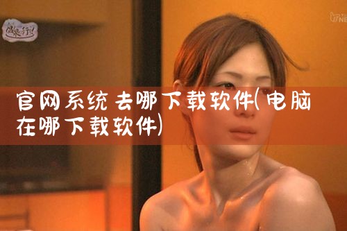 官网系统去哪下载软件