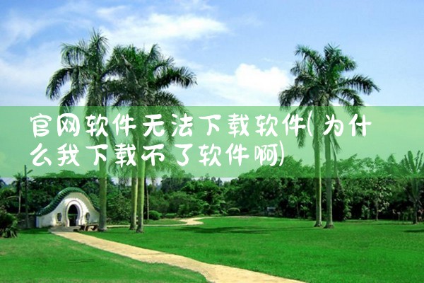 官网软件无法下载软件