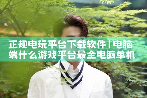 正规电玩平台下载软件