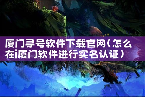 厦门寻号软件下载官网