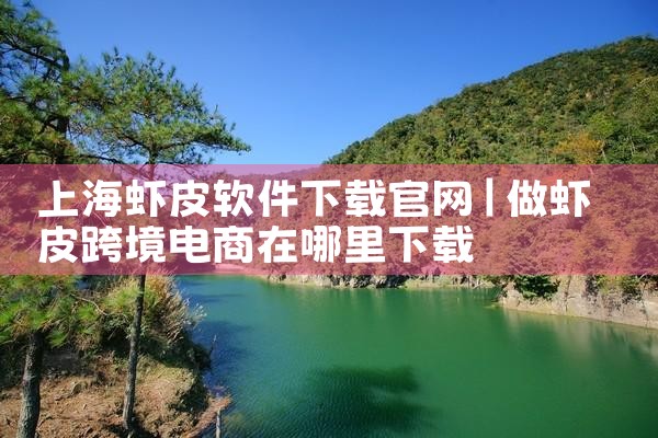 上海虾皮软件下载官网