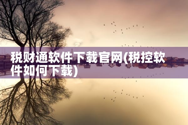 税财通软件下载官网