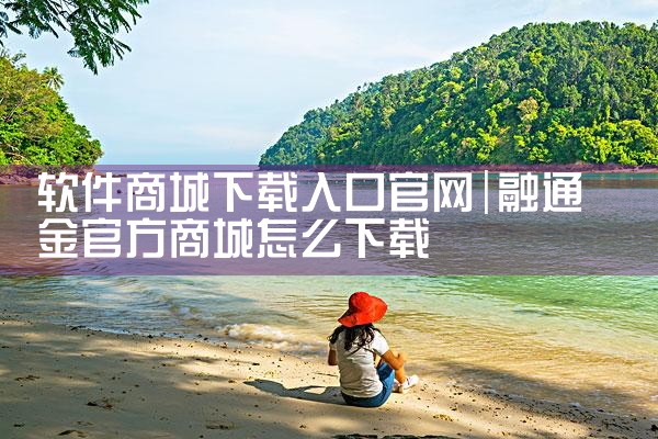 软件商城下载入口官网