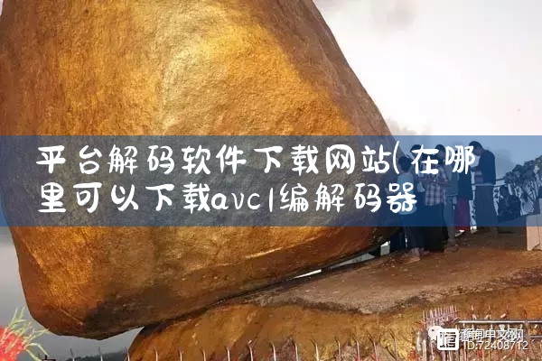 平台解码软件下载网站
