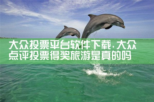 大众投票平台软件下载