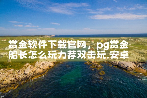 赏金软件下载官网